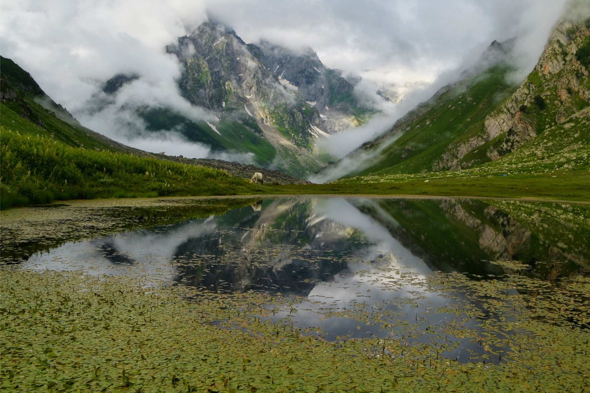 KINNAUR