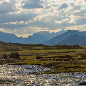 Nimaling, where we do the necessary acclimatisation before heading to Kang Yatse Base Camp