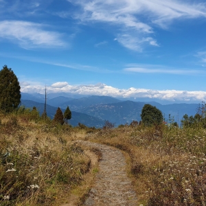 The other side of the ridge with pretty flowers for company