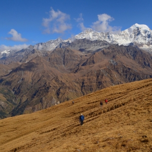 More of the beautiful grassy meadows with Mt.Bandarpunch