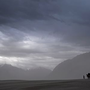 The sand dunes between Hunder & Diskit in Nubra Valley