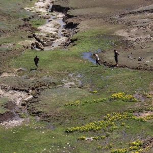 Trekkers crossing a local stream in Dayara.