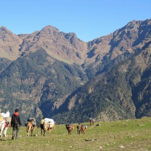 Nearing Gorson campsite.