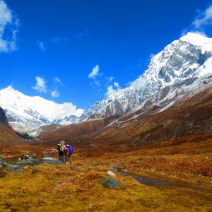 Entering the Thangsing plateu with grand views of Pandim & Kangchenjunga 