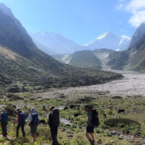 Marching towards Changabang Base Camp