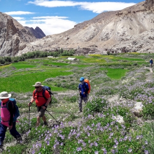 Markha Valley 