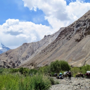 Markha Valley 