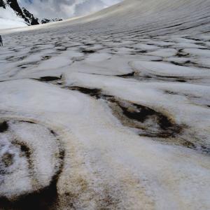Intricate ice patterns on Panpatia snowfield.