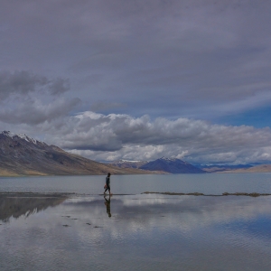 South bank of Tso Morrir Lake in Eastern Ladakh