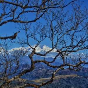 Crisp morning photograph of sleeping buddha from Sandakhpu with trees making a silhouette